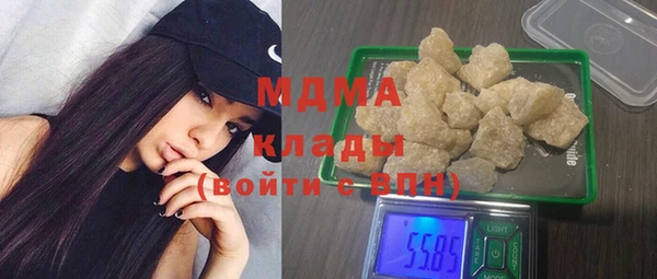 гидра Вяземский