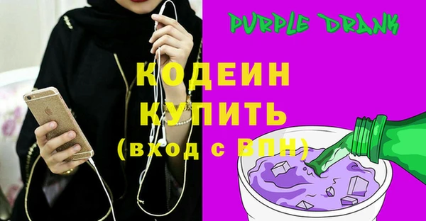 гидра Вяземский