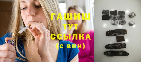 гидра Вяземский