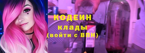 гидра Вяземский