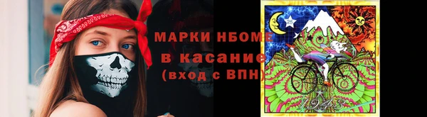 гидра Вяземский