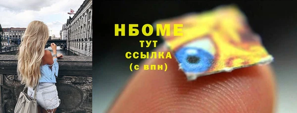 гидра Вяземский