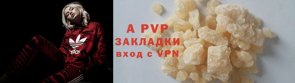 гидра Вяземский