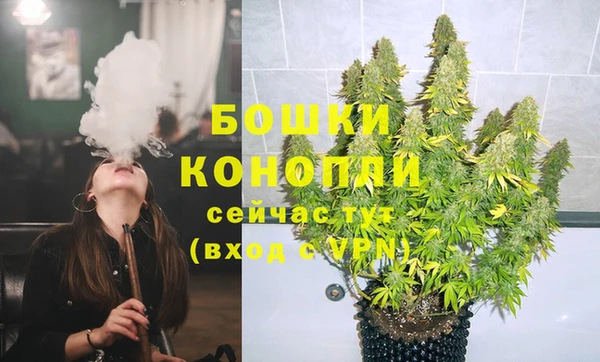 гидра Вяземский