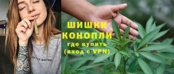 гидра Вяземский