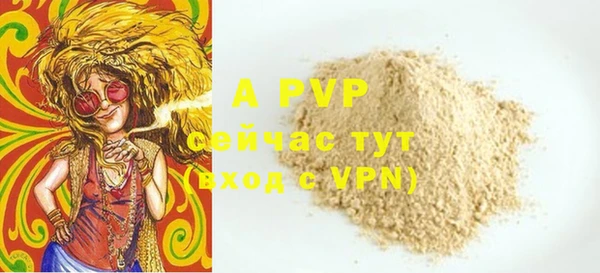 гидра Вяземский