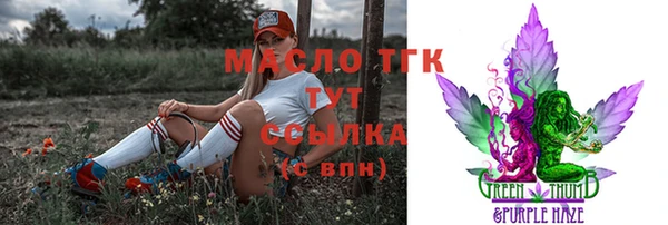 гидра Вяземский