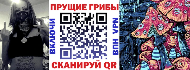 Псилоцибиновые грибы прущие грибы  Рубцовск 